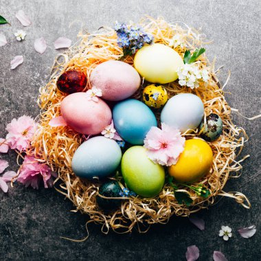 Ev yapımı pastel renkte doğal boyanmış yumurtalar.