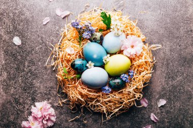 Ev yapımı pastel renkte doğal boyanmış yumurtalar.