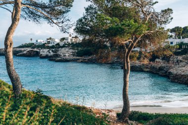 Palma 'da masmavi suları olan sahil.