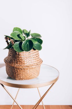 Çin Para Fabrikası