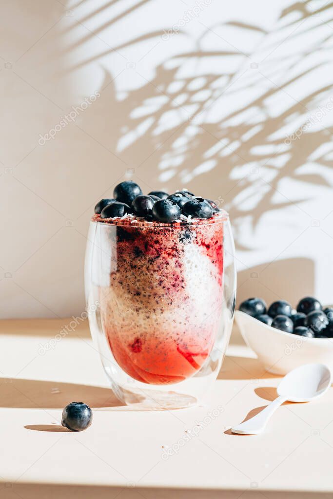 Healthy chia pudding in a glass with fresh blueberries