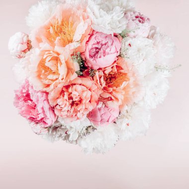 İnanılmaz Taze pembe şakayıklar