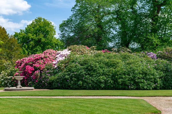 Hermoso jardín con árboles en flor durante la primavera —  Fotos de Stock