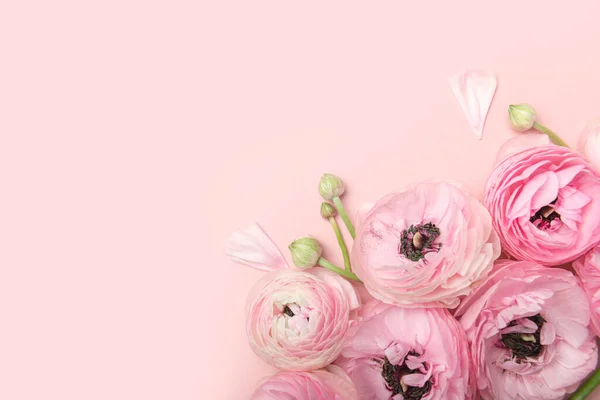 Bloemen arrangementen van tender ranunculus bloemen — Stockfoto