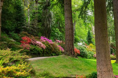 Baharda çiçek açan ağaçları olan güzel bir bahçe.