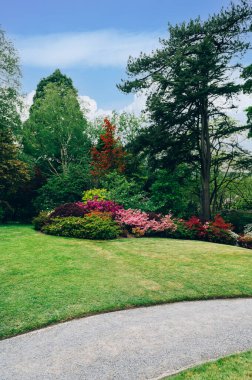 Baharda çiçek açan ağaçları olan güzel bir bahçe.