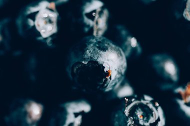 Taze yaban mersinli Makro