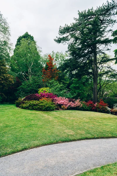 Beau jardin avec des arbres en fleurs pendant le printemps — Photo