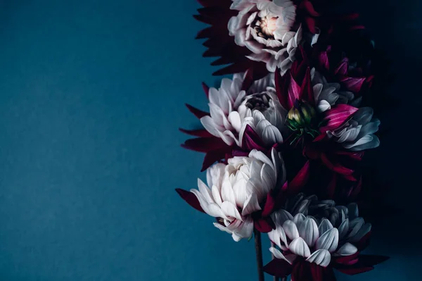 Bir demet kırmızı ve beyaz yıldız çiçeği