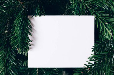 Xmas ağaç dallarından maket