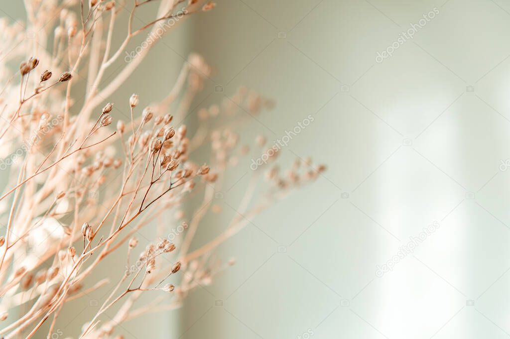 Decor from dry flowers or twigs