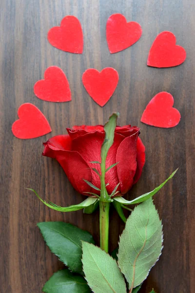Rosa roja oscura y corazones —  Fotos de Stock