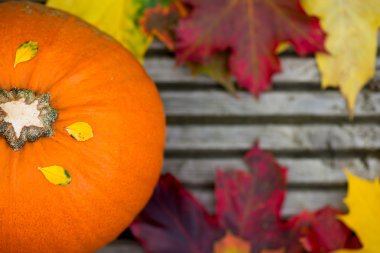 Turuncu kabak ve sonbahar yaprakları üzerinde ahşap Backg yakın çekim