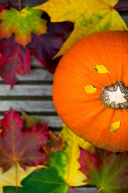 Turuncu kabak ve sonbahar yaprakları üzerinde ahşap Backg yakın çekim
