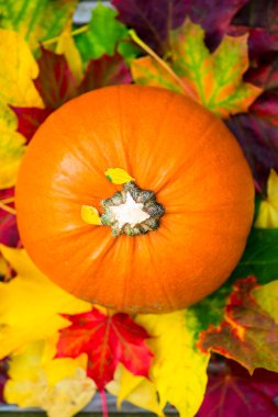 Turuncu kabak ve sonbahar yaprakları üzerinde ahşap Backg yakın çekim