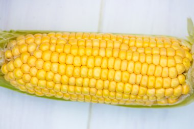 Sarı mısır koçanı Closeup beyaz arka plan, üstten görünüm, makro üzerinde