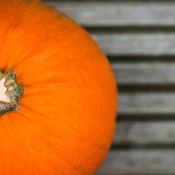 Close up of the Orange Pumpkin as Autumn Concept — Stock Photo, Image