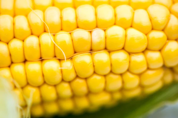Жовтий кукурудзяний коб крупним планом, макро знімок — стокове фото