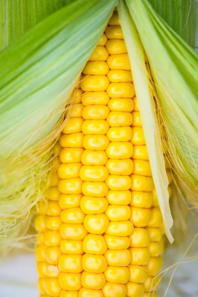 Жовтий кукурудзи ХОБ крупним планом на білому тлі, вид зверху, макрос — стокове фото