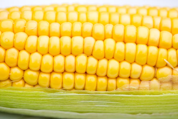 Жовтий кукурудзи ХОБ крупним планом на білому тлі, макрос постріл — стокове фото