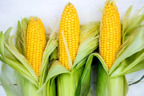 Peitos de milho amarelo close-up no fundo branco, vista superior, macro — Fotografia de Stock