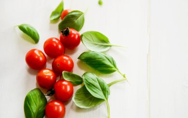 Taze fesleğen yaprağı domates ile