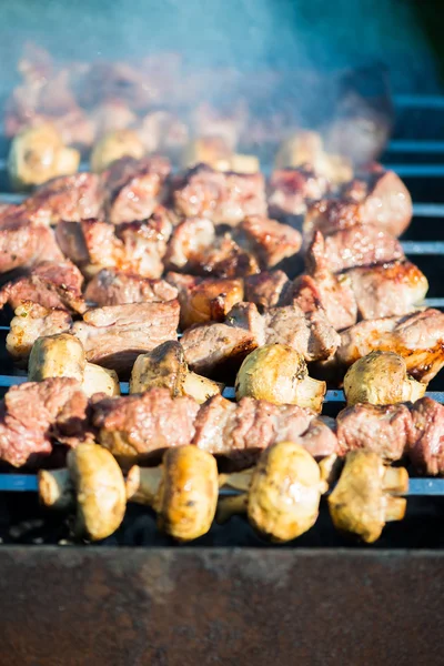 Carne grelhada e Kebab de cogumelos — Fotografia de Stock