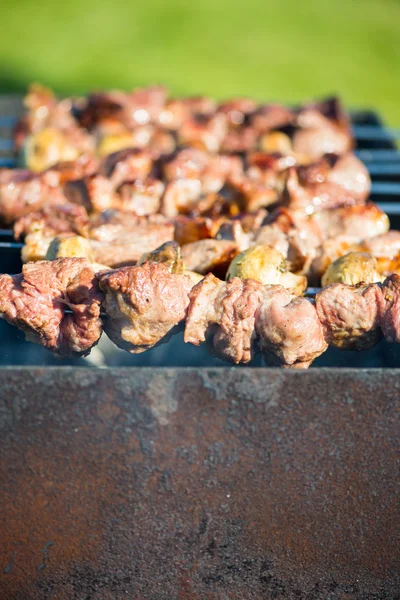 Carne grelhada e Kebab de cogumelos — Fotografia de Stock