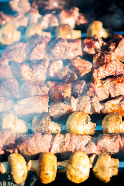 Carne grelhada e Kebab de cogumelos — Fotografia de Stock