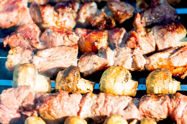 Carne grelhada e Kebab de cogumelos — Fotografia de Stock