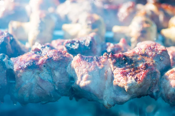 Gegrild vlees en paddestoel Kebab — Stockfoto