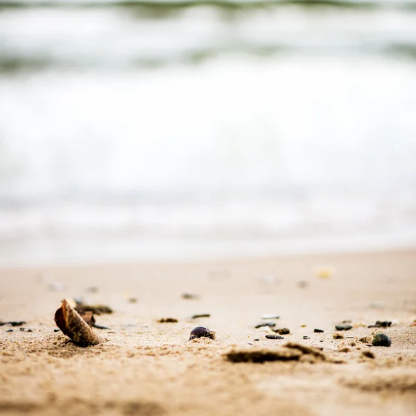 Sandy Beach, seixos e mar no fundo — Fotografia de Stock