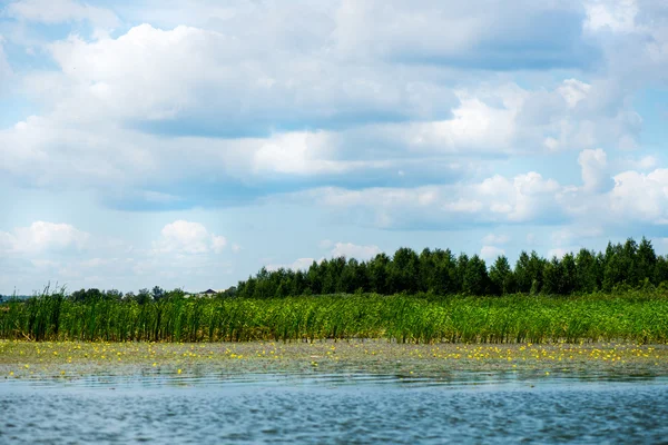 Ciel bleu et nuages blancs, forêt verte et eaux bleues de la rivière — Photo