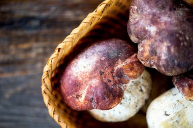 Boletus mantarı, Mushroom ahşap arka plan üzerinde döşeme