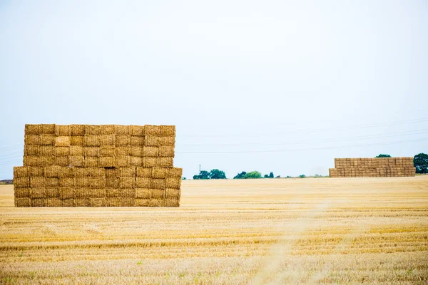 Large Pile of Hay Bales — Stock Photo, Image