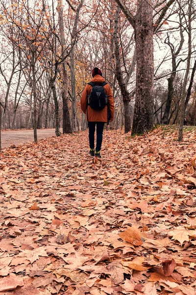 Man walking down a road full of leaves on a cold and cloudy winter day