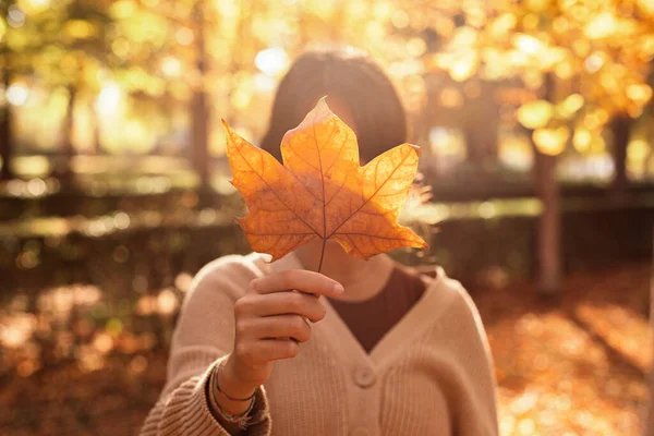 Woman Holding Leaf Covering Her Face Sunny Autumnal Afternoon Strolling — Stock Photo, Image