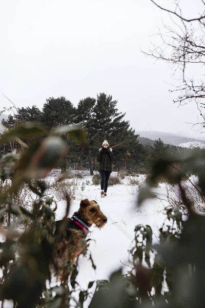 Stock photo taken of a woman walking towards her dog on a snowy day in the mountains