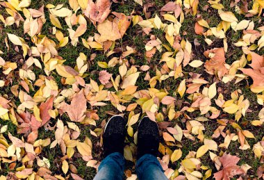 Bulutlu bir sonbahar gününde düşen yaprakların üzerinde bir çayırda dikilen bir adamın ayrıntılı resmi.