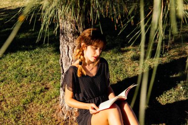 Bir bahar günü gün batımında çekilmiş stok fotoğrafı. Bir ağacın altında oturmuş güneş batarken kitabını okuyor.