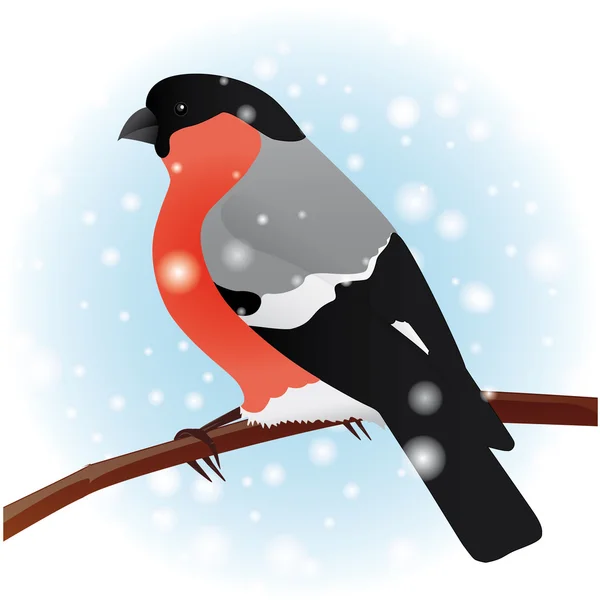 红腹灰雀。冬季鸟类 — 图库矢量图片