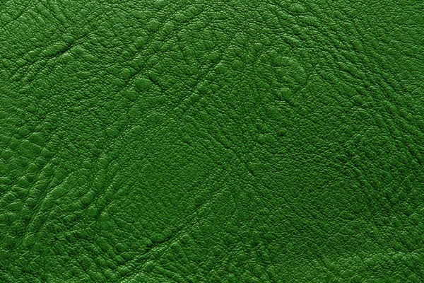 Pele de couro textura verde — Fotografia de Stock