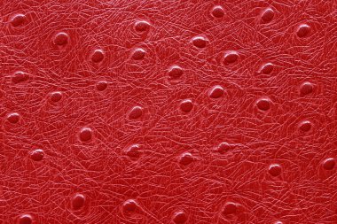 Kırmızı doku deri deri