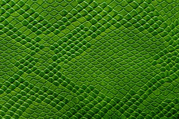 Groene textuur leer huid — Stockfoto