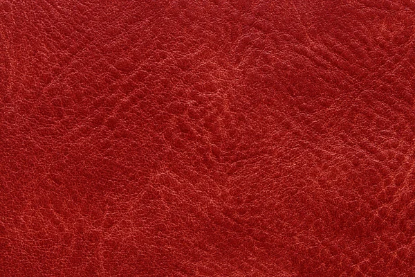 Skóra tekstura czerwony — Zdjęcie stockowe