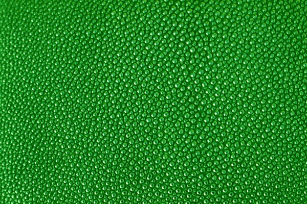 Yeşil doku deri shagreen — Stok fotoğraf