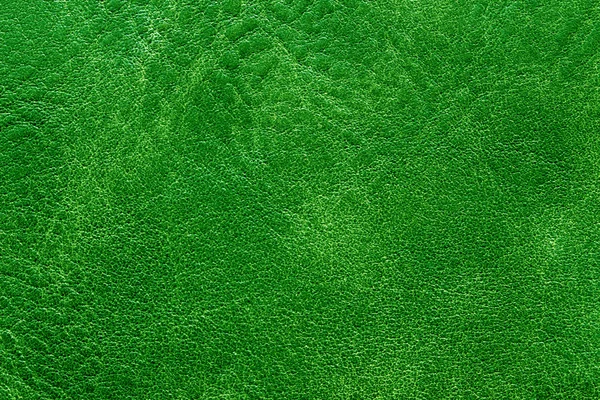 Pelle di pelle texture verde — Foto Stock