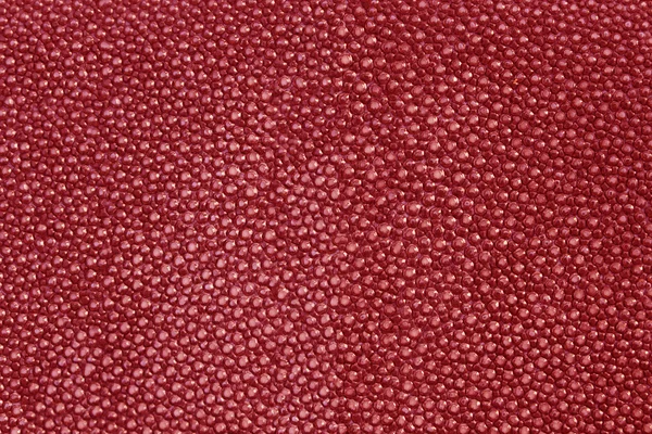 Rote Textur Leder Shagreen — Stockfoto