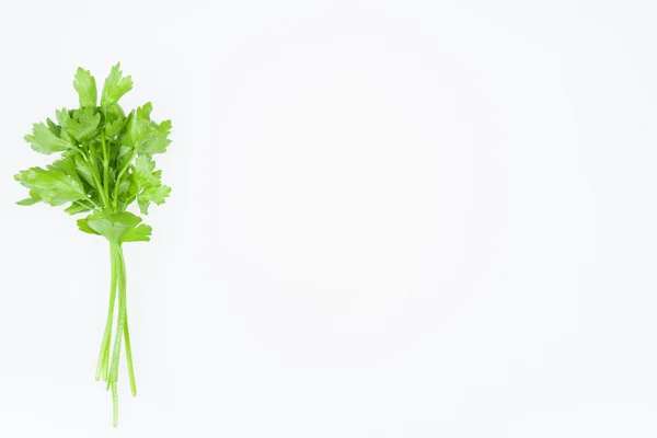 Herbs — Stock Photo, Image