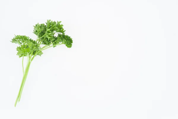 Herbs — Stock Photo, Image